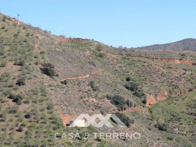 Terreno en venta en El Borge