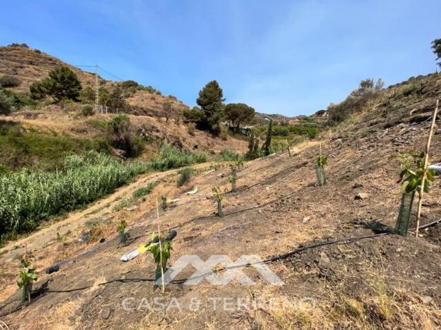 Terreno en venta en Torrox Park, La Axarquía