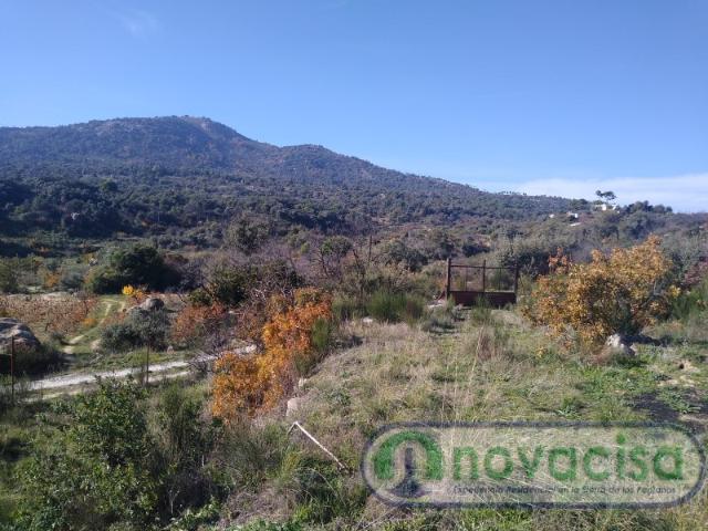 Terreno en venta en Cadalso De Los Vidrios, La Castellana y El Pilar