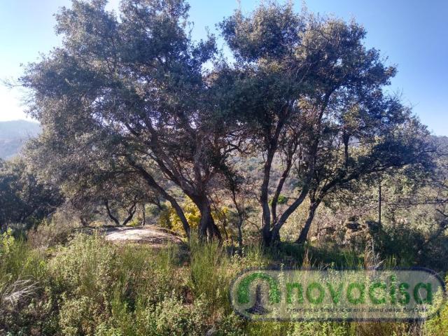 Casa en venta en La Castellana y El Pilar, Cadalso De Los Vidrios