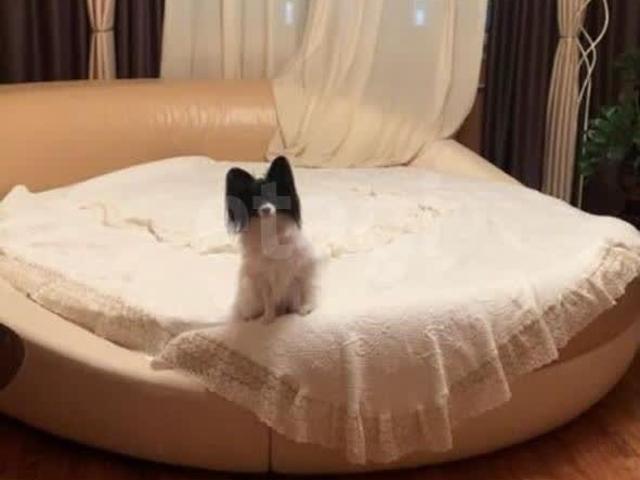 Квартира аренда в Салехард, Ямало-Ненецкий Автономный Округ