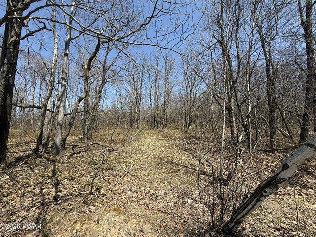 Land for sale in Carbondale, Pennsylvania