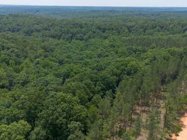 Land for sale in Tennessee