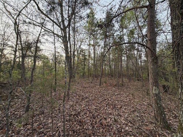 Land for sale in Centerville, Middle Tennessee