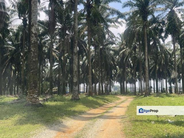 Warehouse for sale in Kulai, Johor