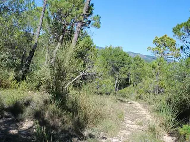 Terrain vente à Arrondissement de Draguignan, Salernes