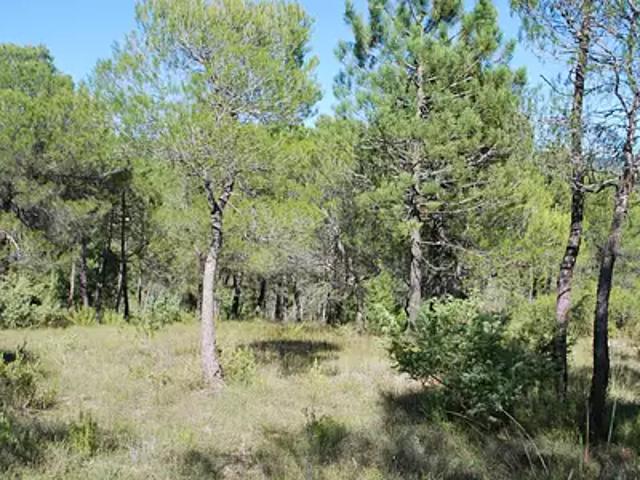 Terrain vente à Arrondissement de Draguignan, Salernes