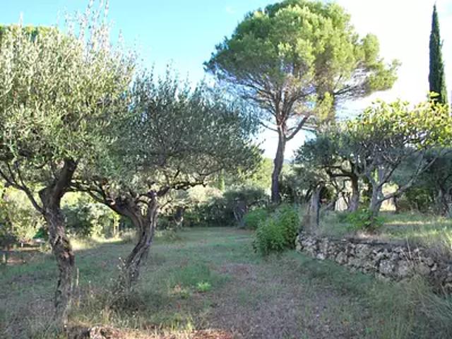 Terrain vente à Arrondissement de Draguignan, Salernes