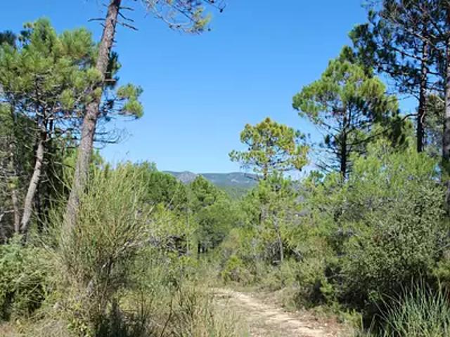 Terrain vente à Arrondissement de Draguignan, Salernes