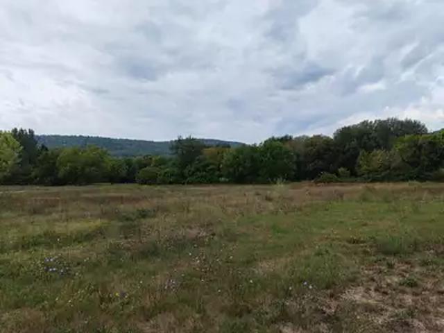 Terrain vente à Arrondissement de Draguignan, Salernes