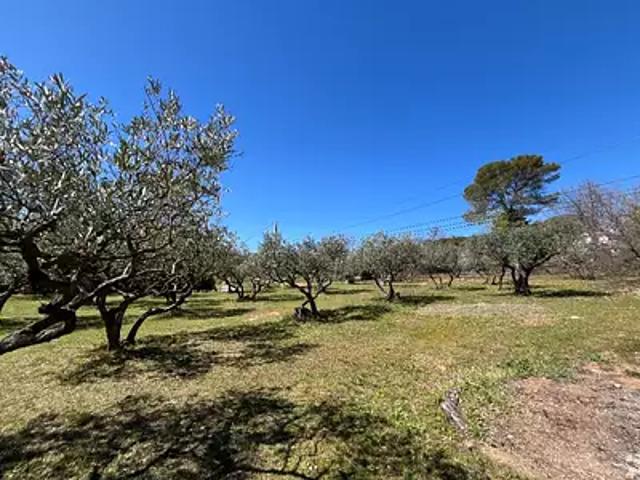 Terrain vente à Arrondissement de Draguignan, Salernes