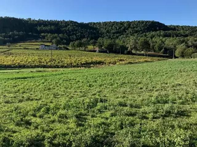 Terrain vente à Arrondissement de Draguignan, Salernes