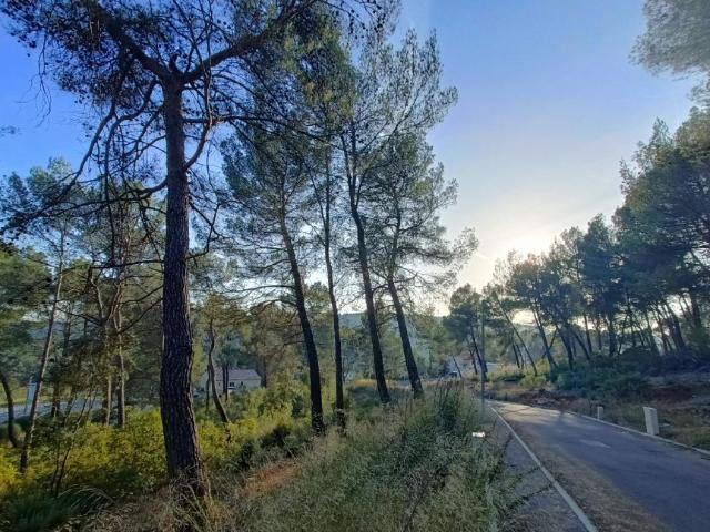 Terrain vente à Arrondissement de Draguignan, Salernes