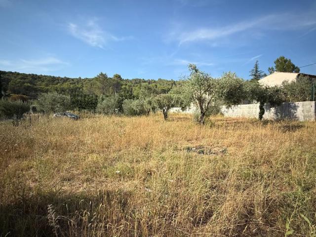 Terrain vente à Arrondissement de Draguignan, Salernes