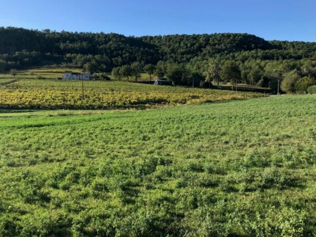 Terrain vente à Arrondissement de Draguignan, Salernes