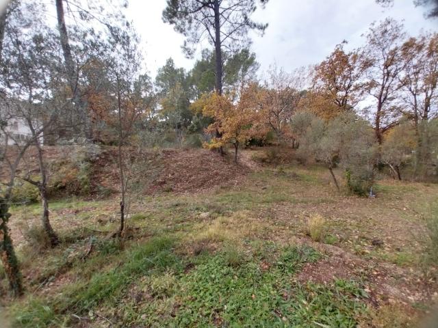 Terrain vente à Arrondissement de Draguignan, Salernes