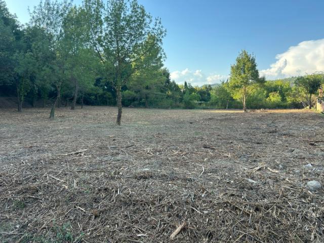 Terrain vente à Arrondissement de Draguignan, Salernes