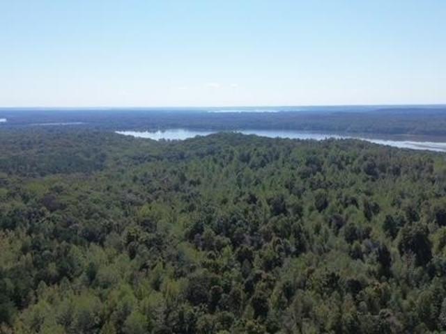 Farm for sale in Tennessee