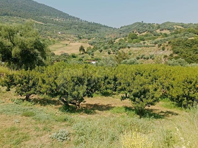 Salihli, Manisa içerisinde satılık mülk