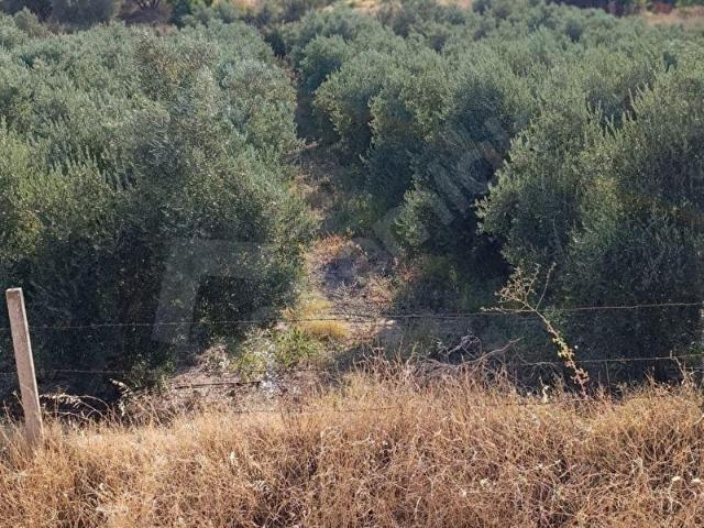 Salihli, Manisa içerisinde satılık mülk