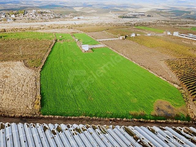 Salihli, Manisa içerisinde satılık Arsa