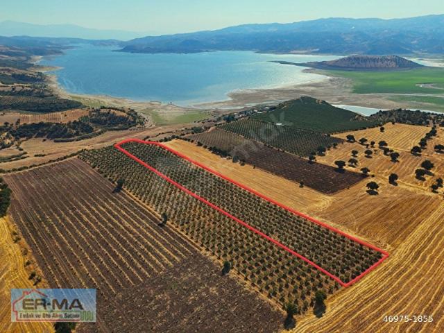 Salihli, Manisa içerisinde satılık mülk