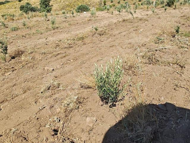 Salihli, Manisa içerisinde satılık mülk