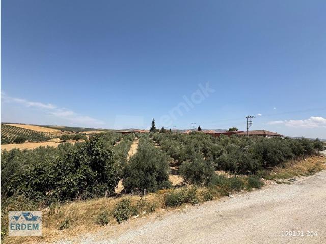 Salihli, Manisa içerisinde satılık mülk
