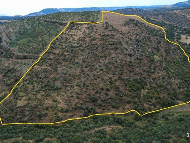 Salihli, Manisa içerisinde satılık Arsa