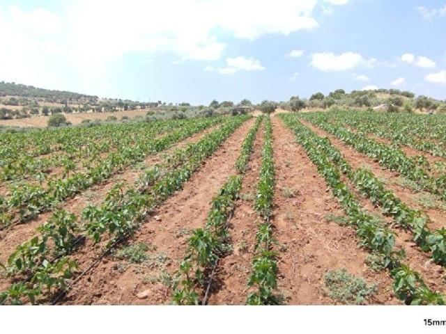 Salihli, Manisa içerisinde satılık Arsa