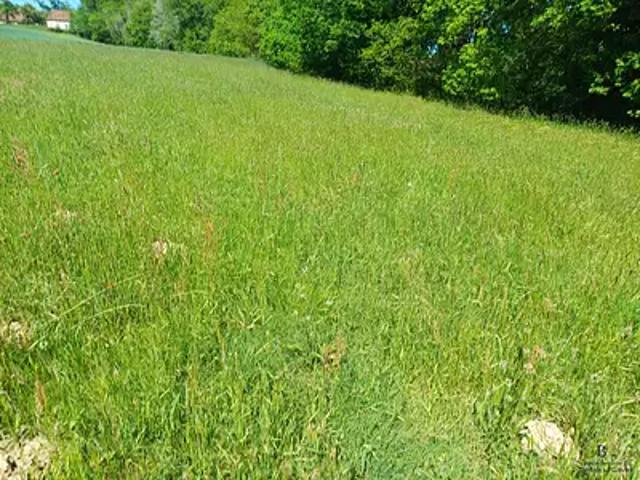 Terrain vente à Oloron-Sainte-Marie, Salies-de-béarn