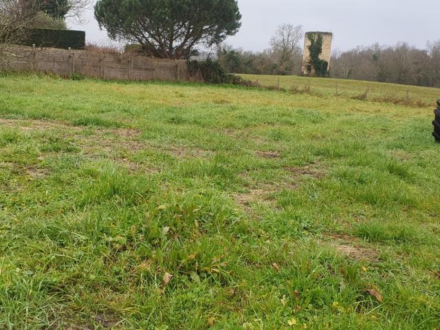 Terrain vente à France métropolitaine, Salignac