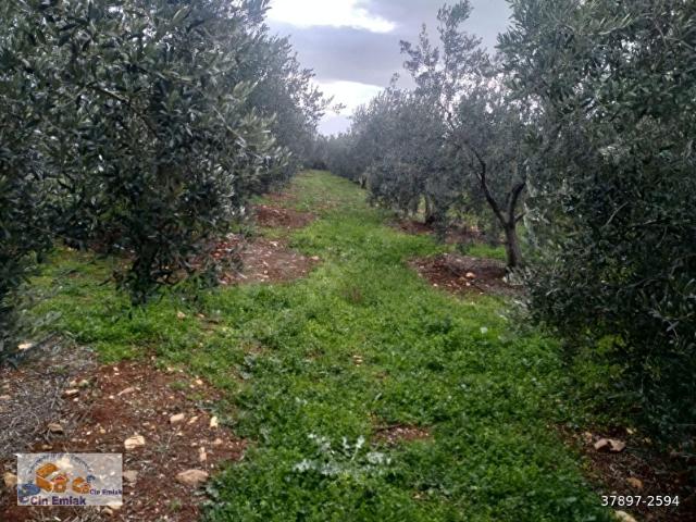 Salihli, Manisa içerisinde satılık mülk