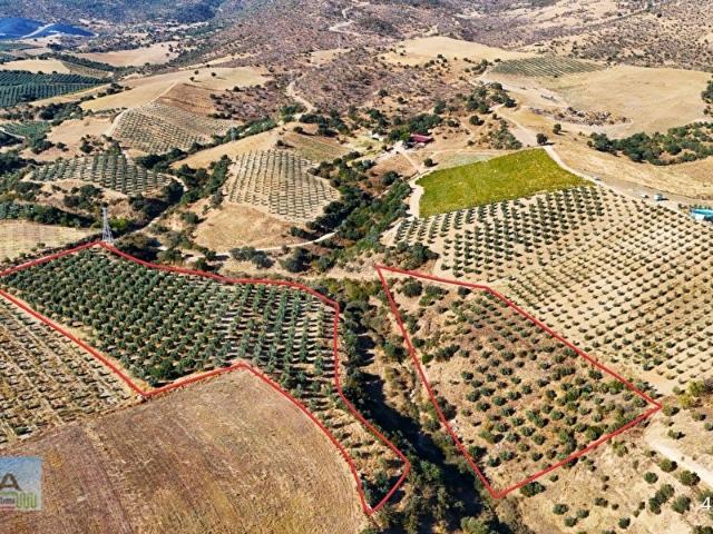 Bektaşlar, Salihli içerisinde satılık mülk
