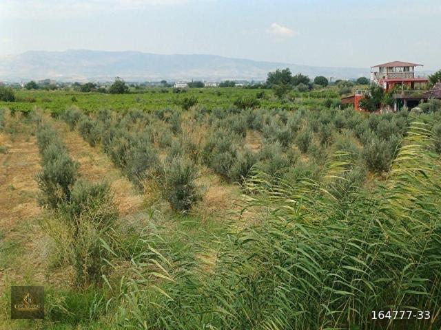 Salihli, Manisa içerisinde satılık Arsa
