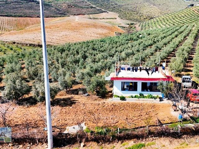 Salihli, Manisa içerisinde satılık mülk