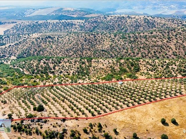 Salihli, Manisa içerisinde satılık mülk