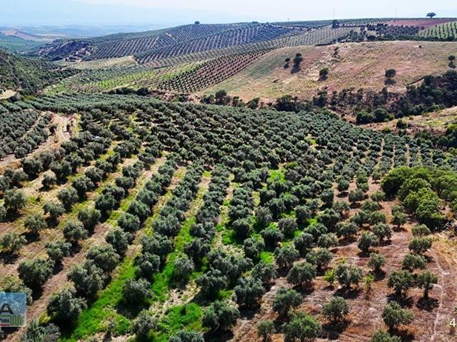 Salihli, Manisa içerisinde satılık mülk