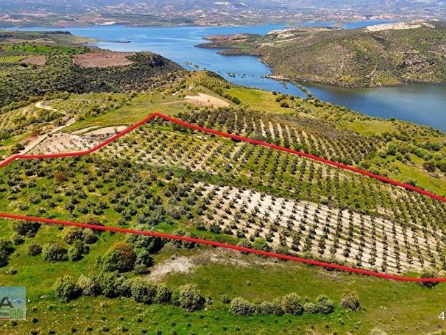 Salihli, Manisa içerisinde satılık mülk