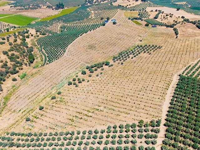 Salihli, Manisa içerisinde satılık Arsa