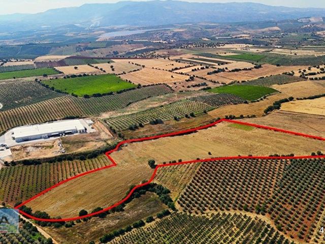 Salihli, Manisa içerisinde satılık Arsa