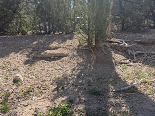 Land for sale in Utah