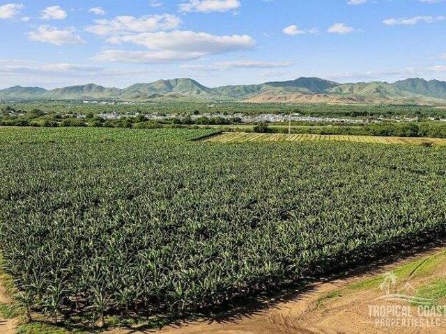 Land for sale in Salinas