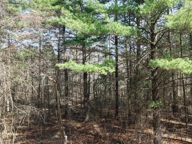 Land for sale in Gladwin, Michigan