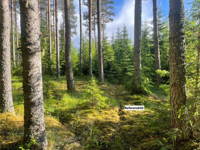 Gård till salu i Värmland