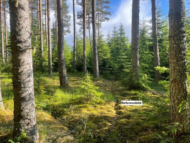 Gård till salu i Västernorrland