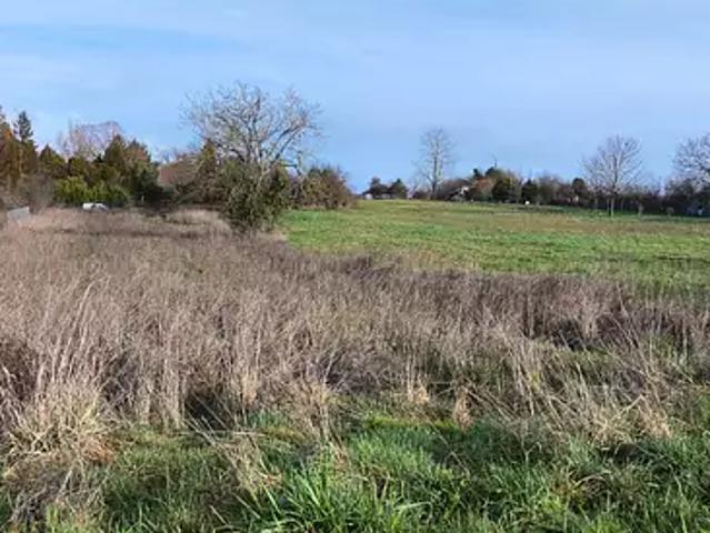 Terrain vente à Cognac, Salles-d'angles