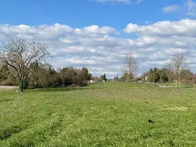 Terrain vente à Cognac, Salles-d'angles