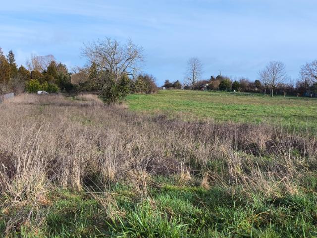 Terrain vente à Cognac, Salles-d'angles