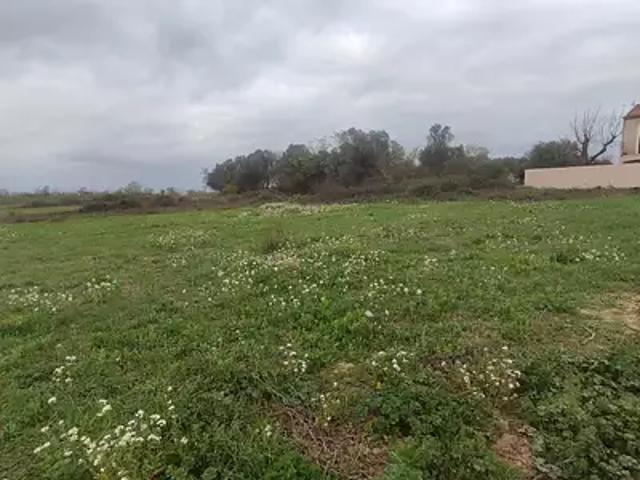 Terrain vente à Narbonne, Salles-d'aude